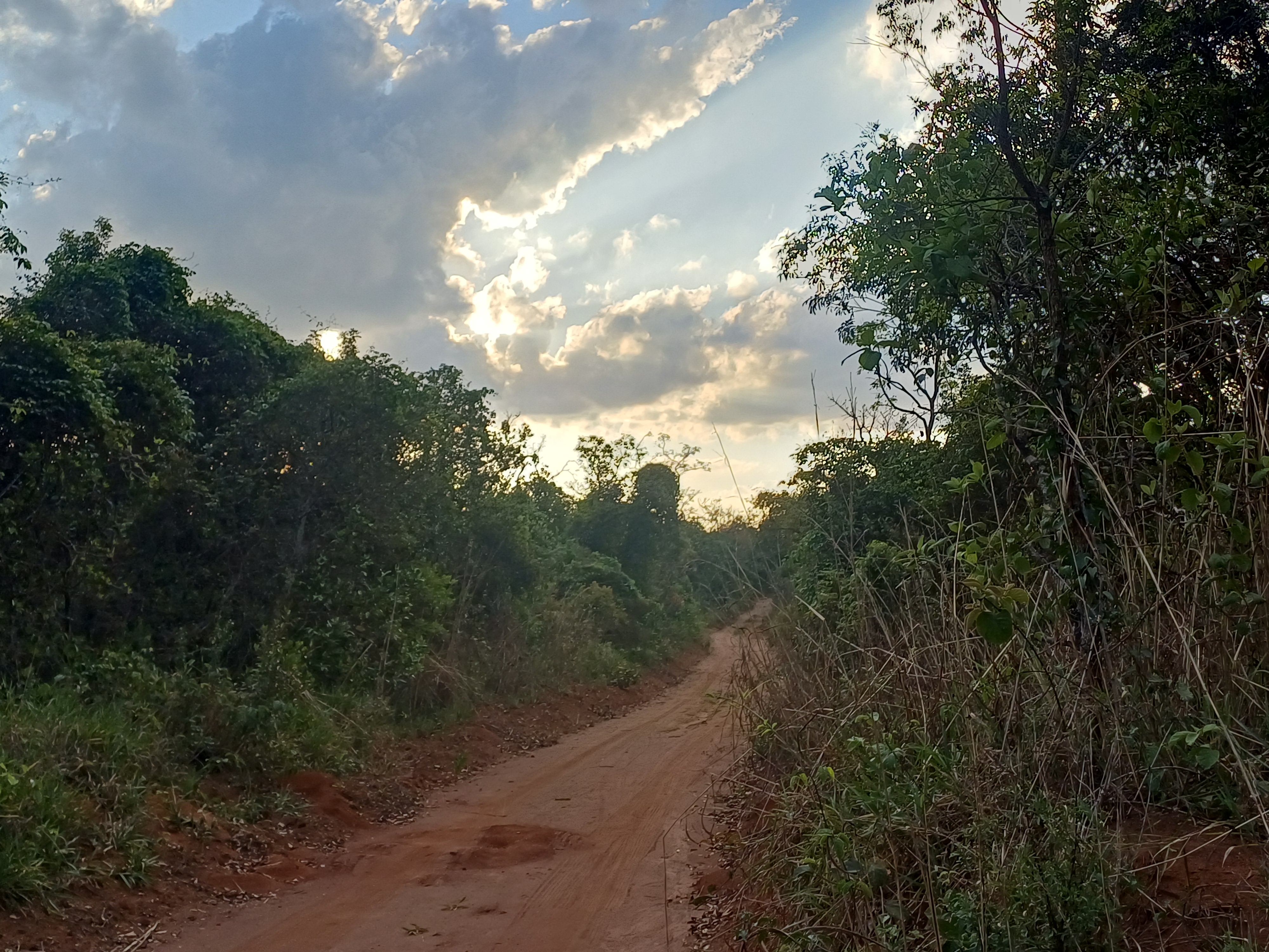 Foto